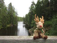 Helen the Reindeer goes to Ã…voltangen