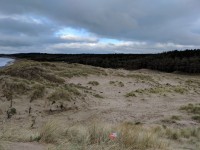 We do like to be beside the seaside: Newborough sandy dunes